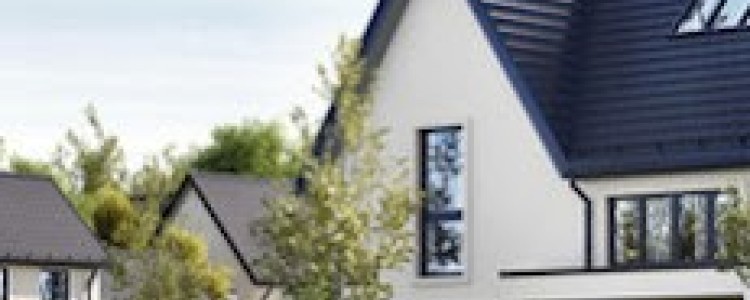 Property Agent Photo