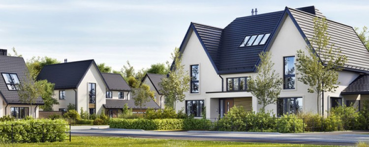 Property Agent Photo